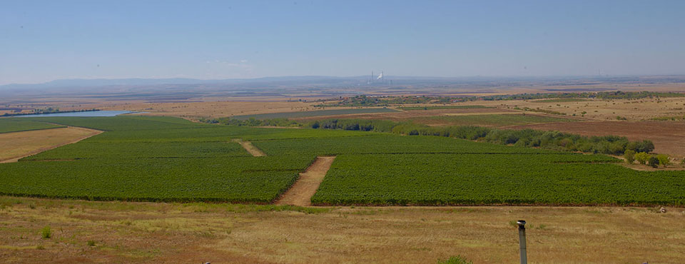 Edoardo Miroglio Wine Cellar